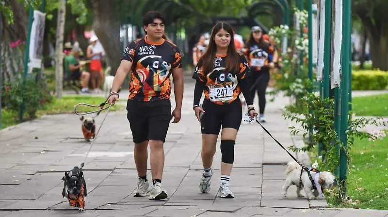 Lomitos protagonizan carrera con causa en apoyo a Huellitas Durango